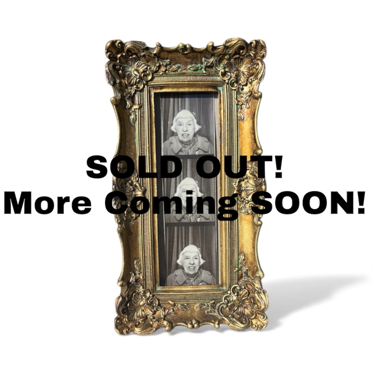 Ornate Gold- 2x6 Photo Booth Frame