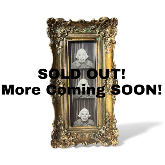Ornate Gold- 2x6 Photo Booth Frame