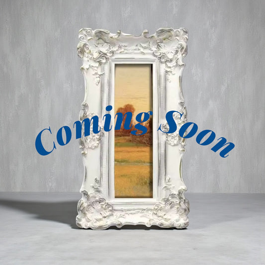 Ornate Rustic White- 2x6 Photo Booth Frame